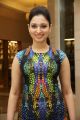 Tamannaah launches Celkon Octa 510 Model Android Mobile Photos