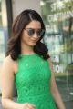 Actress Tamannaah Bhatia in Green Mini Dress Pictures