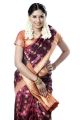 Tamil Actress Archana in Saree Photoshoot Stills