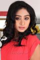 Tamil Actress Archana Photoshoot Stills