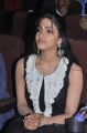 Actress Dhanshika at Tamil Edison Awards 2013 Stills