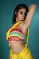 Tamil Model Tosha Hot Pictures