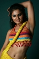 Tamil Model Tosha Hot Pictures