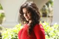 Actress Ramya Nambeesan in Tamilarasan Movie Latest Stills HD