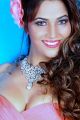Actress Tanisha Singh Hot Photo Shoot Pics