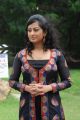 Actress Tanishka Stills at Cut Cheste Movie Launch