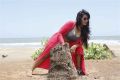 Tantrika Movie Stills