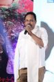 Ramesh Puppala @ Tanu Monne Vellipoyindi Audio Launch Function Stills