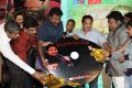 Tanu Monne Vellipoyindi Audio Launch Function Stills