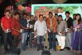 Tanu Monne Vellipoyindi Audio Launch Function Stills