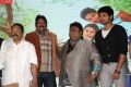 Tanu Monne Vellipoyindi Audio Launch Function Stills