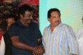 Tanu Monne Vellipoyindi Audio Launch Function Stills