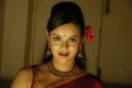 Actress Tanu Roy Latest Hot Stills in Red Saree