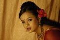 Telugu Actress Tanu Roy Latest Hot Stills in Red Saree