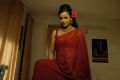 Actress Tanu Roy Spicy Hot Stills in Red Saree