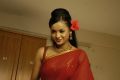 Actress Tanu Roy Latest Hot Stills in Red Saree