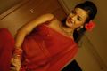 Actress Tanu Roy Spicy Hot Stills in Red Saree