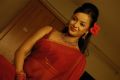 Actress Tanu Roy Latest Hot Stills in Red Saree