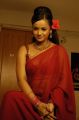 Actress Tanu Roy Latest Hot Stills in Red Saree