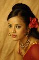 Actress Tanu Roy in Red Saree Hot Stills