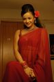 Actress Tanu Rai Spicy Hot Stills in Red Saree