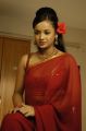 Actress Tanu Roy Spicy Hot Stills in Red Saree