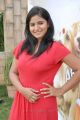 Actress Tanusha Hot Photos at Amma Nanna Oorelithe Press Meet