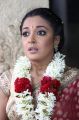 Cute Tanushree Dutta Beautiful Saree Pics