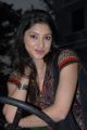 Actress Tanvi Vyas Latest Stills at Nenem Chinna Pillana Press Meet