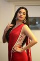 Actress Tanya Hope Saree Pics @ Disco Raja Pre Release