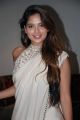 Actress Tanya Hope New Saree Images