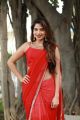 Actress Tanya Hope Red Saree Photos @ Thadam Audio Launch