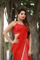 Thadam Movie Actress Tanya Hope Red Saree Photos