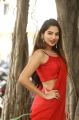 Actress Tanya Hope Hot Red Saree Photos @ Thadam Audio Launch