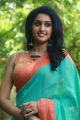 Karuppan Movie Actress Tanya Saree Photos