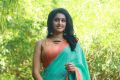 Karuppan Movie Actress Tanya Saree Photos