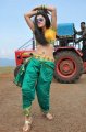 Tapasee Pannu Hot Mogudu Stills