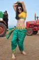 Tapasee Pannu Hot Spicy Pics