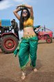 Tapasee Pannu Hot in Mogudu Movie