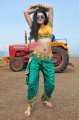 Tapasee Pannu Hot Spicy Pics