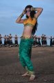 Tapasee Pannu Hot in Mogudu Movie