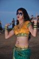 Mogudu Actress Tapasee Pannu Hot Gallery