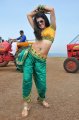 Mogudu Actress Tapasee Pannu Hot Gallery