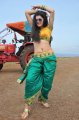 Tapasee Pannu New Hot Photos