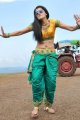 Tapasee Pannu Hot Spicy Pics