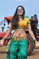 Mogudu Actress Tapasee Pannu Hot Gallery