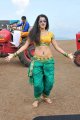 Mogudu Actress Tapasee Pannu Hot Gallery