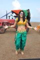 Mogudu Actress Tapasee Pannu Hot Gallery