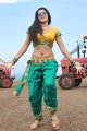 Mogudu Actress Tapasee Pannu Hot Gallery