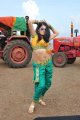 Mogudu Actress Tapasee Pannu Hot Gallery